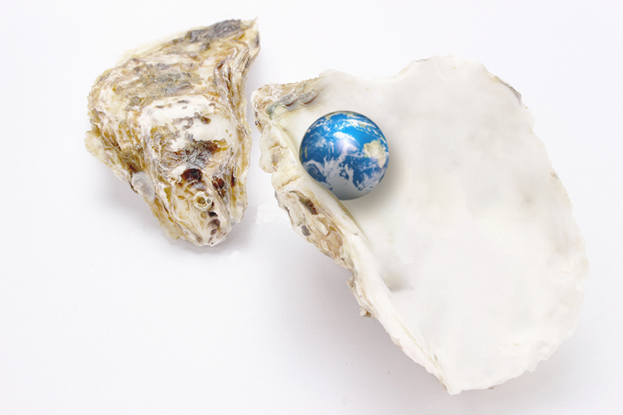 The world is your oyster!!!